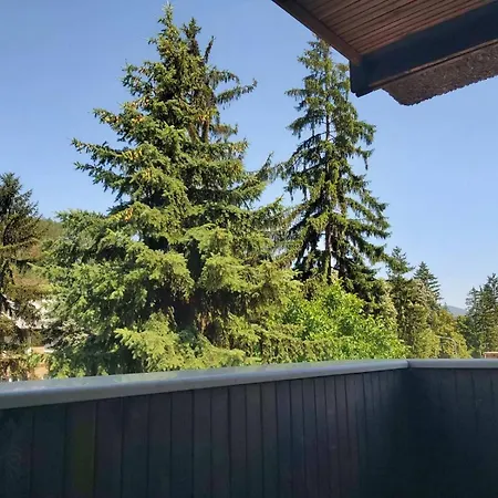 тото шанс Velingrad